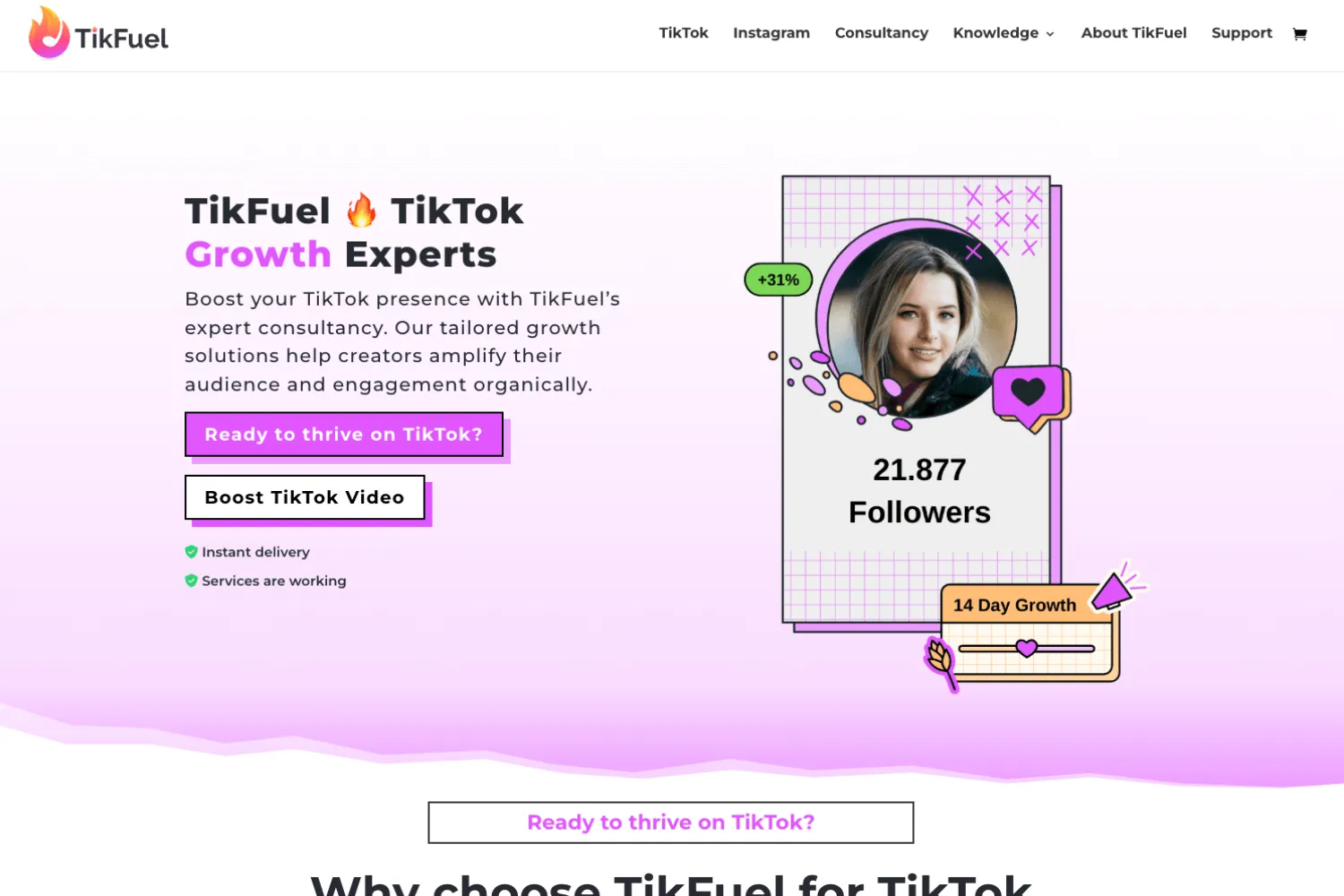 Website van TikFuel